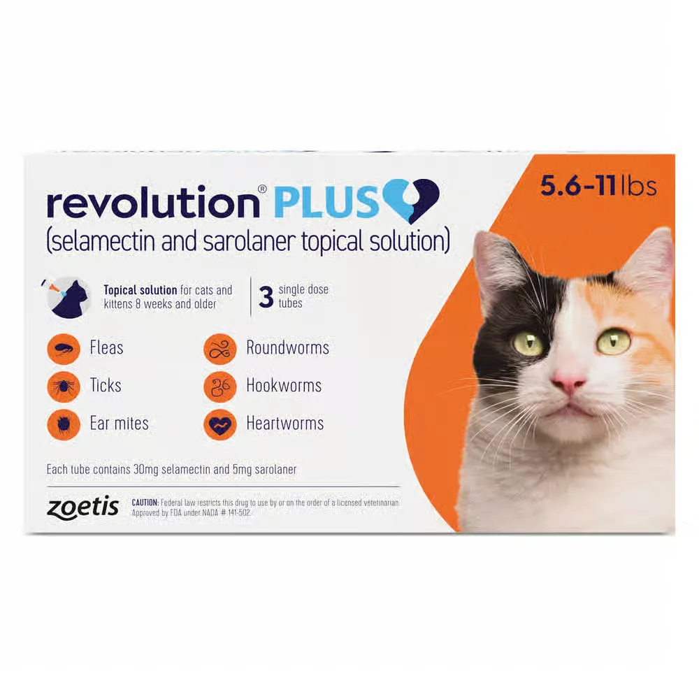Revolution Plus (Cats)